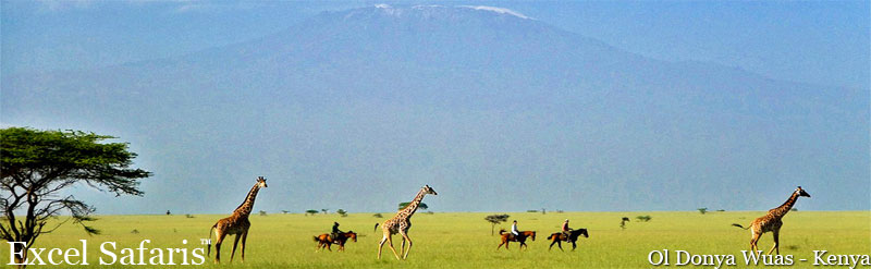 ol donya wuas lodge chyulu hills kenya